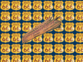 r-66.ws