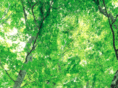 seikankyo.com