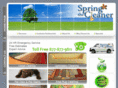 thespringcleaner.com