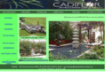 cadiflor.org