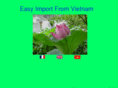 easy-import-from-vietnam.com