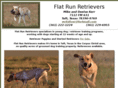 flatrunretrievers.com