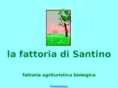 lafattoriadisantino.net