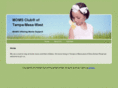 tempemoms.org
