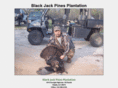 blackjackpinesplantation.com