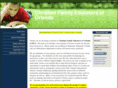 cfeo-fl.com
