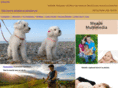 meademultimedia.com