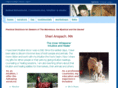 sherianspach.com