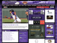 winstonsalembaseball.com