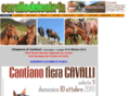 cavallodelcatria.net