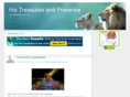 histreasuresandpresence.com