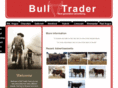 bull-trader.com