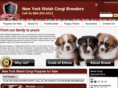 newyorkwelshcorgibreeders.com