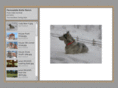 packsaddlebutte.com