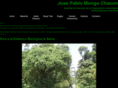 jpmonge.com
