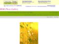 mimiphotogallery.com