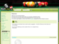 8ballliga.at