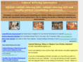 cabinetrefacinginfo.com