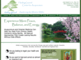 healingacupuncturechicago.com
