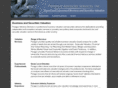paragonadvisoryservices.com