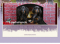 jtsdachshunds.com