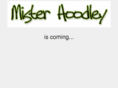 misterhoodley.com