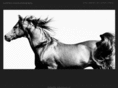 photomoore.com
