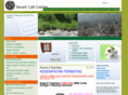 smartcallcentre.com