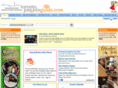 torontoparentguide.com