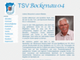 tsv-bockenau.com