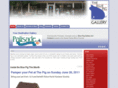 bluepiggallery.com