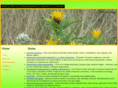 mcisf.com