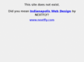 nextfly.biz