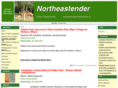northeastender.ca