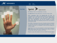 sprintsurveydraw.com
