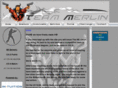 team-merlin.net