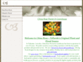 tellurideflower.com