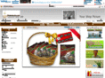 thairobusta.com