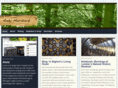 andymurdock.com