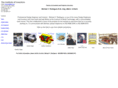 satellite-engine.com