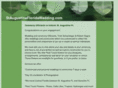 staugustinefloridawedding.com