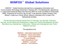 winfos.net
