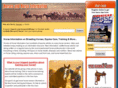 americanhorserider.com