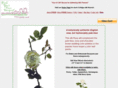 bluerosecafe.com