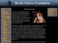 merlinfalconfoundation.org