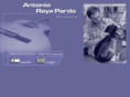 rayapardo-guitars.com