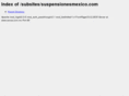 suspensionesmexico.com