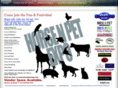 horsenpetexpo.com