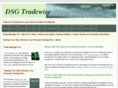 dsgtradewise.com