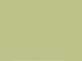plantsinc.biz